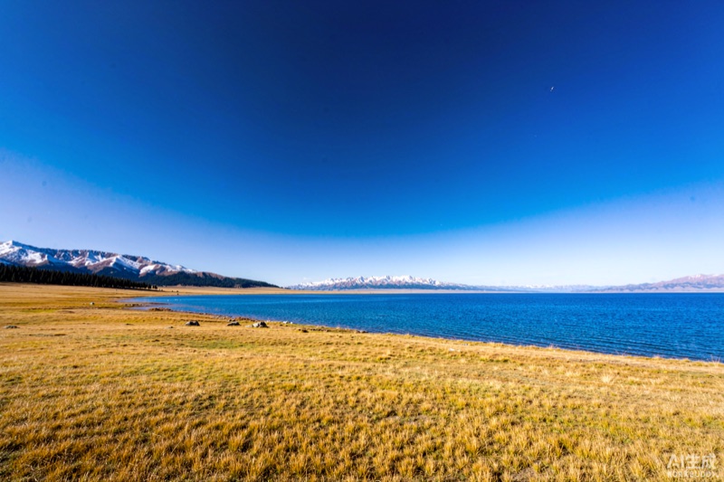 青海湖秋日草甸与远处雪峰意象