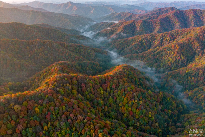 旺苍米仓山四万余亩原始森林红叶层染的山谷意象