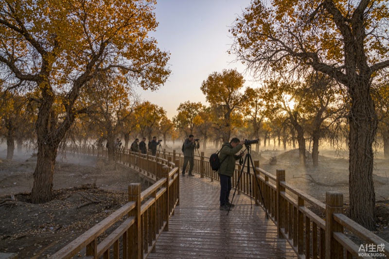 新疆胡杨林清晨日出时段摄影点位与游人架设三脚架拍摄金色林海