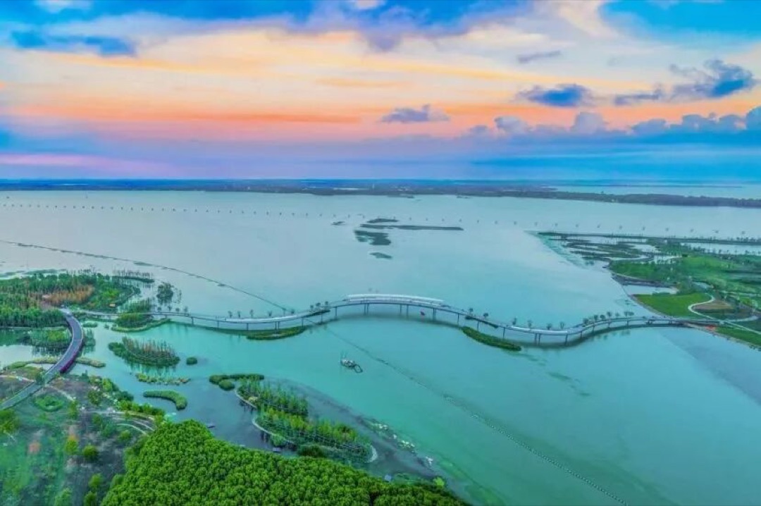 中秋夜杭州湾海塘边月亮从海面升起的实景
