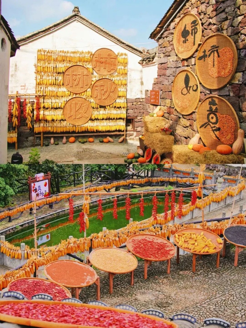 余姚柿林古村晒秋场景，玉米辣椒南瓜铺满晒匾