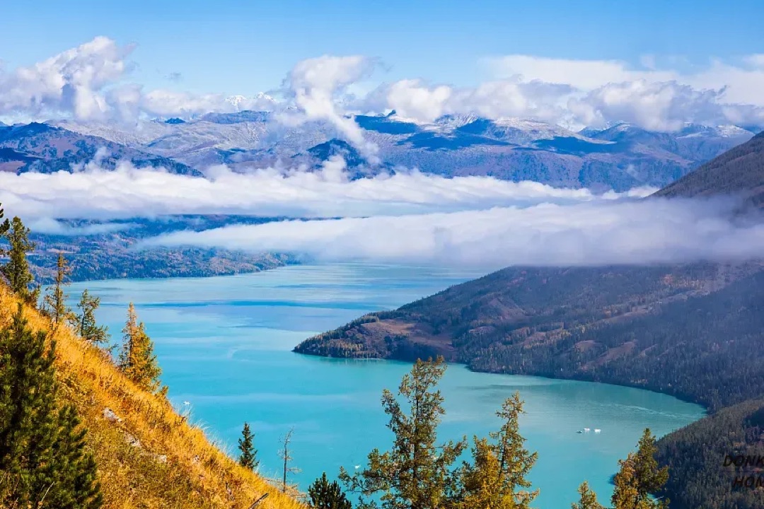 俯瞰喀纳斯湖碧蓝湖面与云海雪山，阿勒泰秋色全景