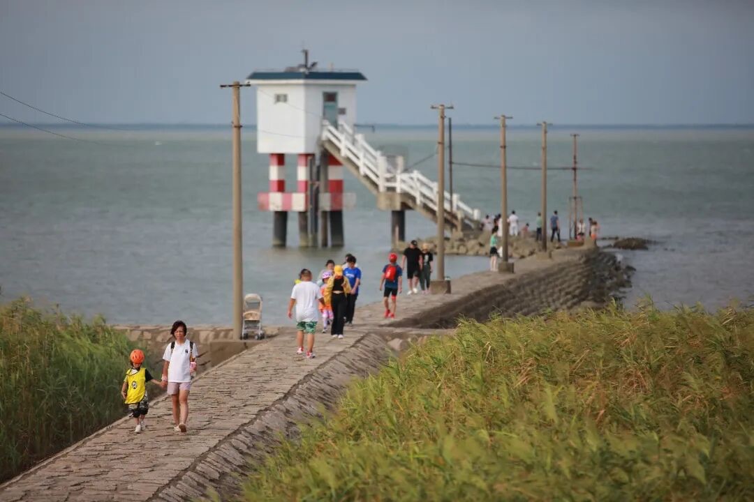 亲子家庭走在海塘石堤上，海盐观潮线路实景