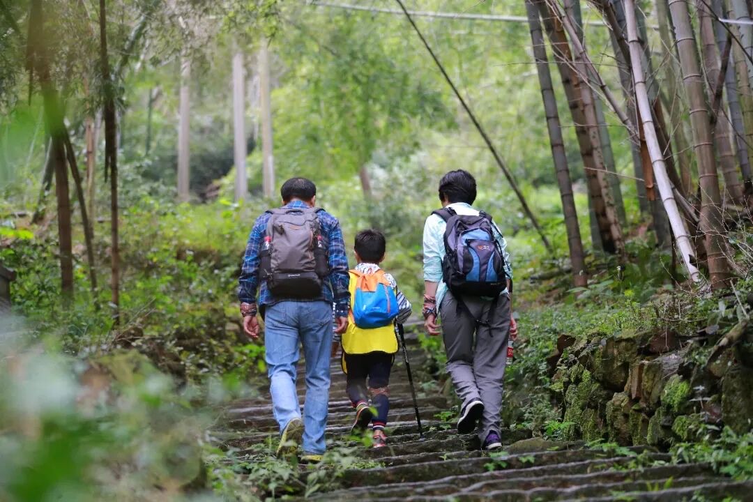 绍兴上虞梅坞岭古道竹林石阶，亲子家庭徒步背影