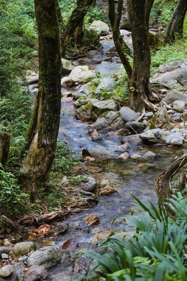 金华磐安十八涡峡谷溪流与石滩，夹溪古道沿线实景