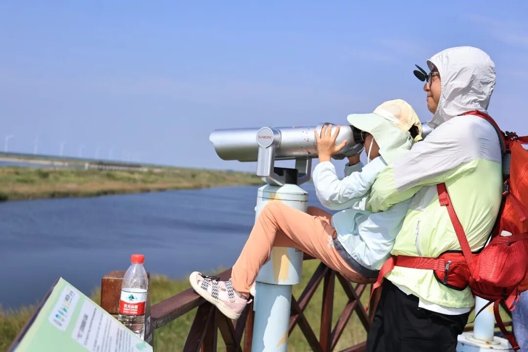 家长抱孩子在湿地观景望远镜前观鸟的实拍