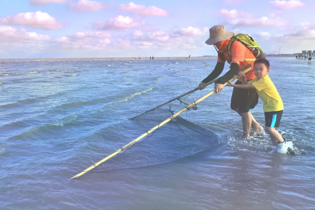 江苏盐城条子泥滩涂湿地 候鸟停歇的世界自然遗产地