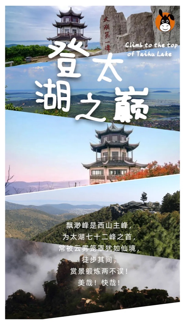 苏州缥缈峰山径穿越茶园，亲子家庭沿山坡茶垄向上徒步