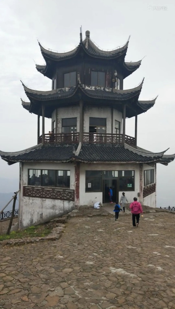刚从树上剪下的太湖西山岛秋橘，装满孩子的采摘篮