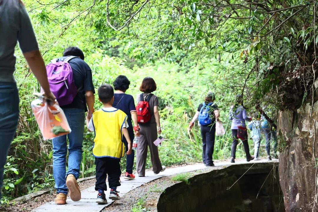 苏州太湖西山岛橘园，黄澄澄的秋橘挂满枝头