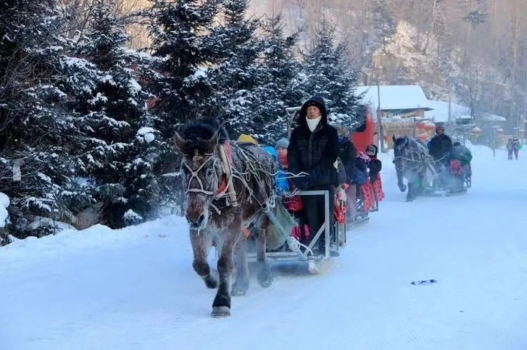 哈尔滨伏尔加庄园：亲子家庭在城堡雪圈滑梯排队体验