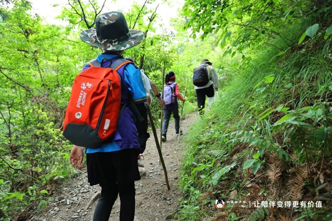 徒步者背着背包手持登山杖行走在山林石板小径上