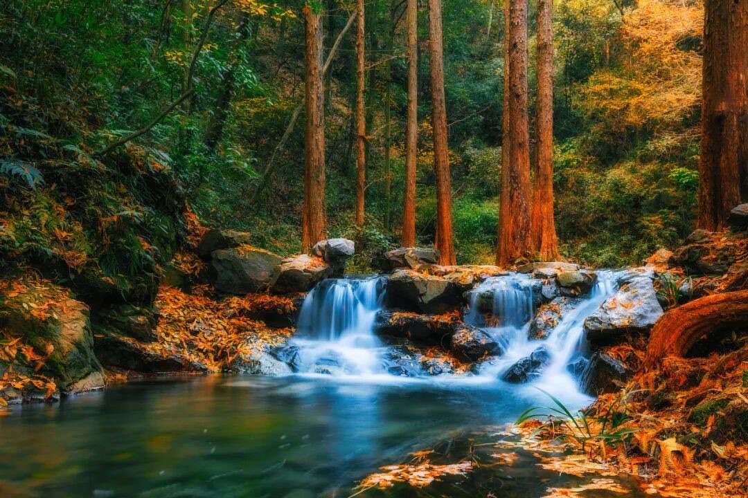 九溪十八涧溪流穿过森林跌水成潭的溪谷实景
